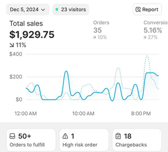 Before Shoptimity Dashboard